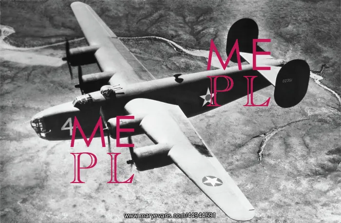 : Consolidated B-24 Liberator : Consolidated B-24 Liberator