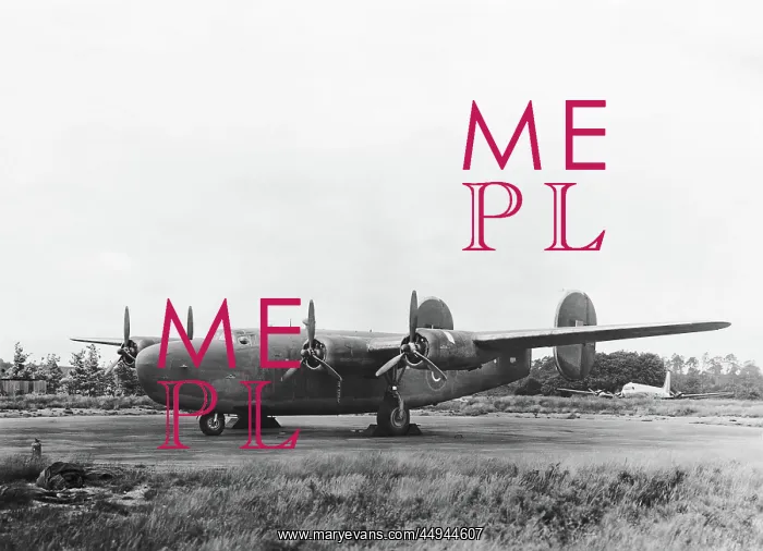 : Consolidated B-24 Liberator : Consolidated B-24 Liberator