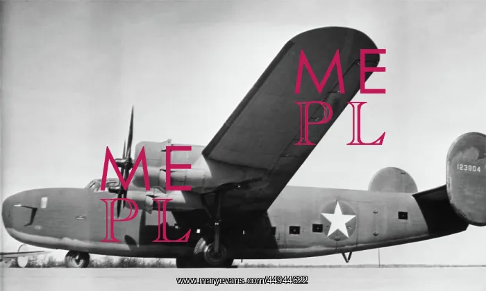 : Consolidated B-24 Liberator : Consolidated B-24 Liberator