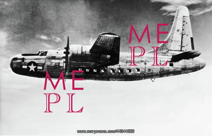 : Consolidated B-24 Liberator : Consolidated B-24 Liberator