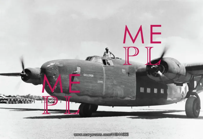 : Consolidated B-24 Liberator : Consolidated B-24 Liberator