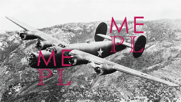 : Consolidated B-24 Liberator : Consolidated B-24 Liberator