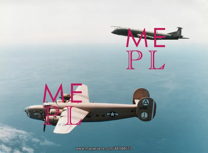 : Consolidated B-24 Liberator : Consolidated B-24 Liberator