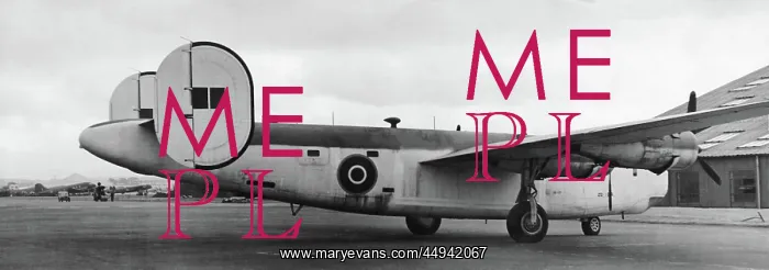 : Consolidated B-24 Liberator C-6 : Consolidated B-24 Liberator C-6