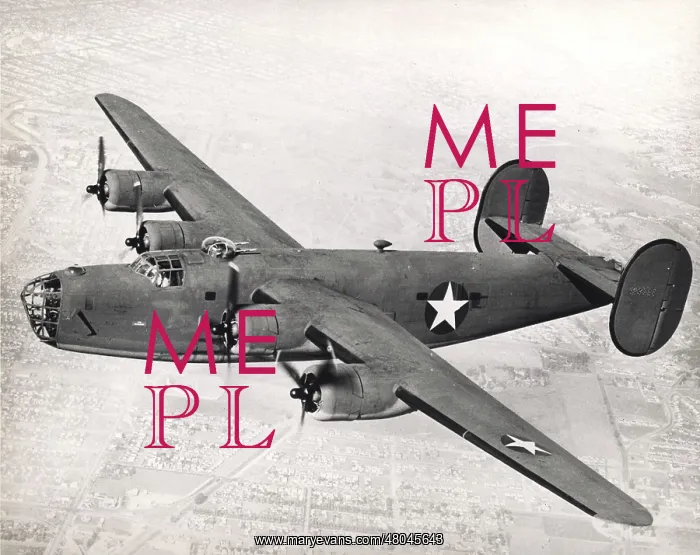 : Consolidated B-24D Liberator : Consolidated B-24D Liberator