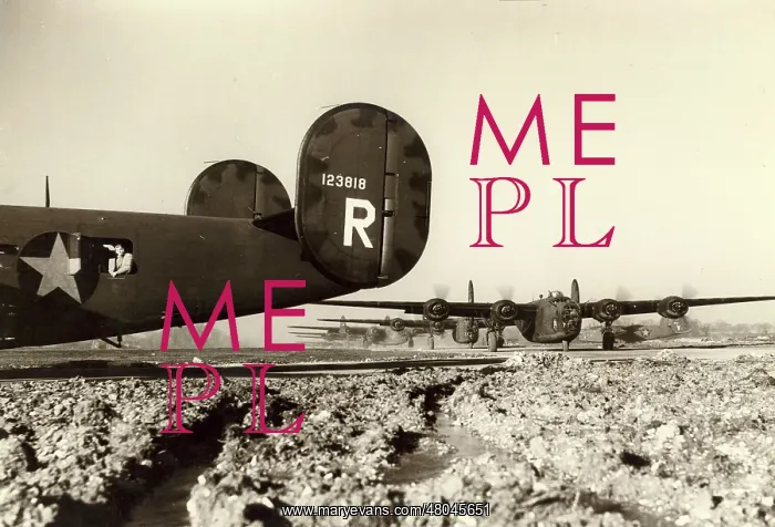 : Consolidated B-24D Liberators : Consolidated B-24D Liberators