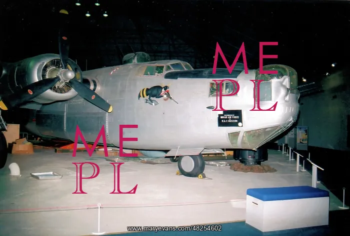 : Consolidated B-24L Liberator HE807 : Consolidated B-24L Liberator HE807