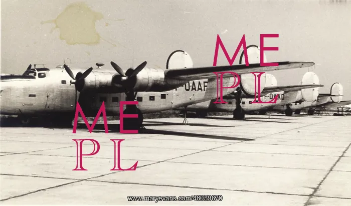 : Consolidated Liberators F-OOAD and F-OOAF : Consolidated Liberators F-OOAD and F-OOAF