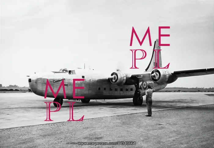 : Consolidated PB4Y-2 Privateer : Consolidated PB4Y-2 Privateer