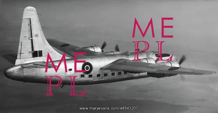 : Consolidated RY-3 B-24 Liberator : Consolidated RY-3 B-24 Liberator