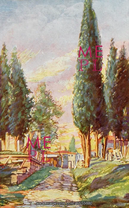 : Constantinople - Cemetery at Eyoub : Constantinople - Cemetery at Eyoub