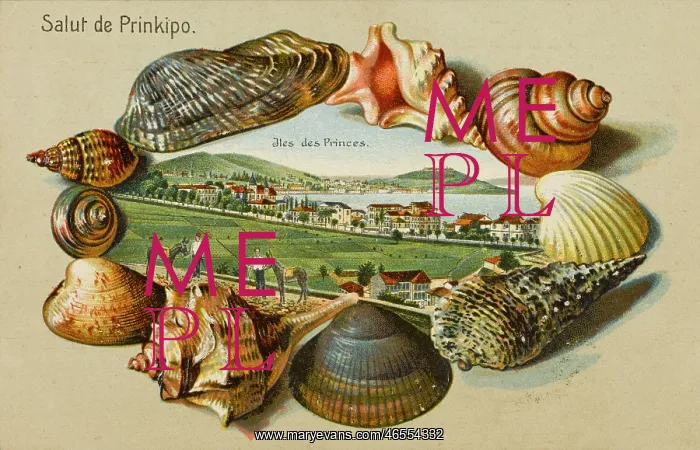 : Constantinople - Princes Islands : Constantinople - Princes Islands
