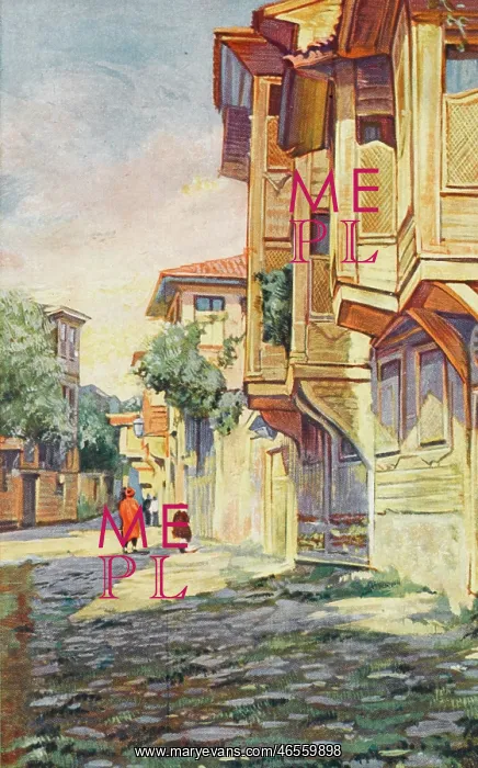 : Constantinople - Street scene with cumbas : Constantinople - Street scene with cumbas