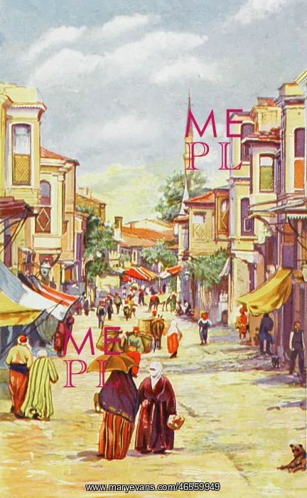 : Constantinople - A Street scene in Uskudar : Constantinople - A Street scene in Uskudar