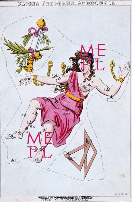 : Constellation of Andromeda, showing Andromeda : Constellation of Andromeda, showing Andromeda