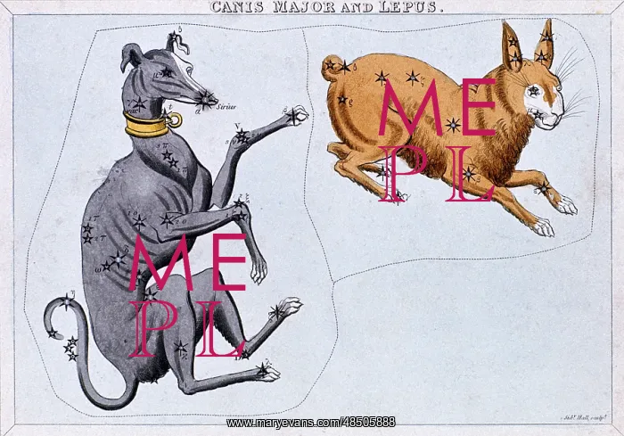 : Constellations of Canis Major and Lupus. From : Constellations of Canis Major and Lupus. From