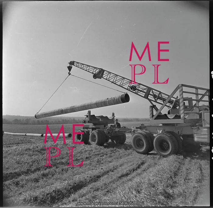 : Construction, pipeline, pipe, truck crane, crane : Construction, pipeline, pipe, truck crane, crane