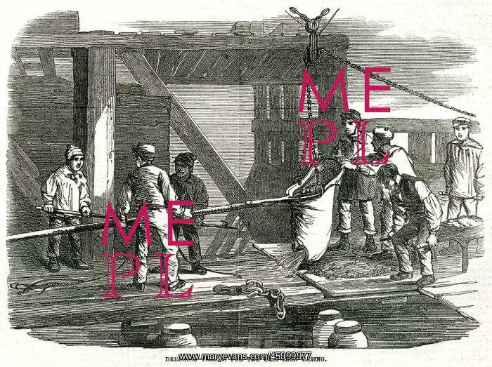 : Construction of Westminster Bridge, London 1855 : Construction of Westminster Bridge, London 1855