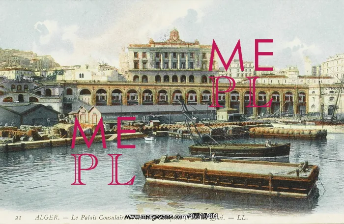 : The Consulate Palace and Mosques : The Consulate Palace and Mosques