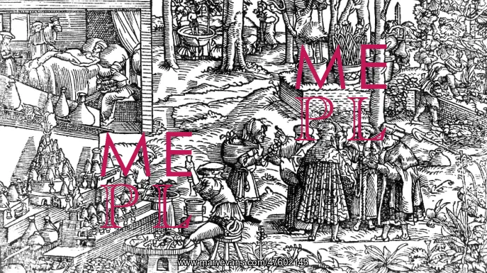 : Consultation on German Herbarium, 16th Century : Consultation on German Herbarium, 16th Century