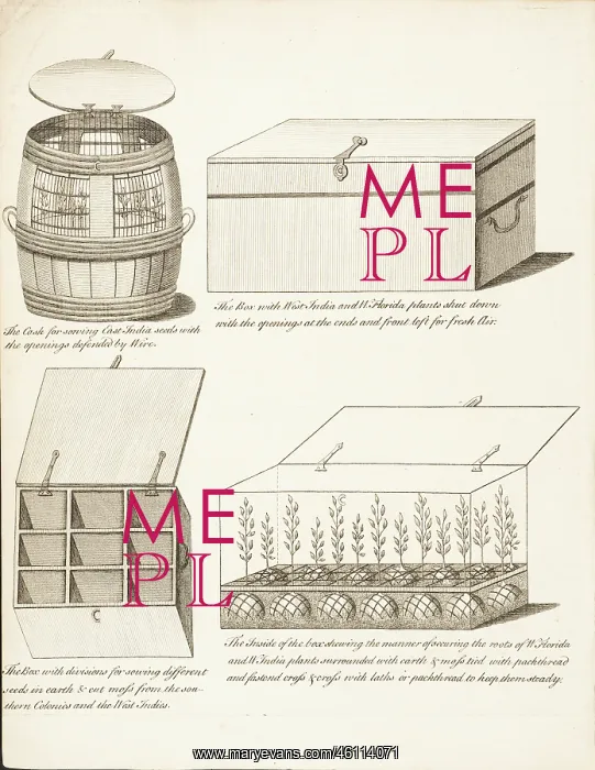 : Containers for transporting & storing plants & seeds : Containers for transporting & storing plants & seeds