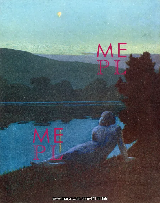 : CONTEMPLATING THE NIGHT : CONTEMPLATING THE NIGHT