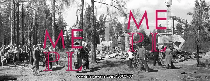 : Continuation War : Continuation War