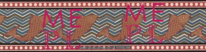  : Continuous Fish