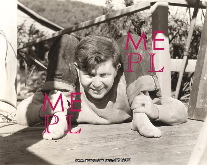 : Contortionist : Contortionist