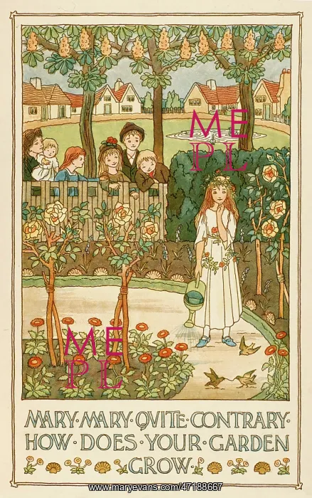 : CONTRARY MARY / BEDFORD : CONTRARY MARY / BEDFORD