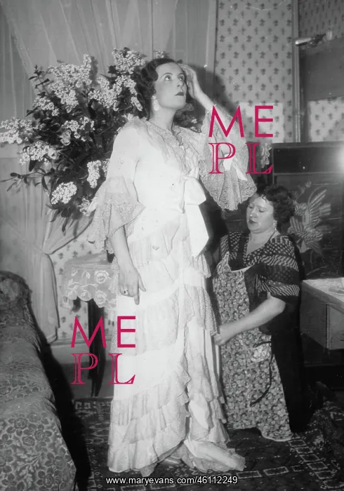 : Contributor (Madame Novotna) of the : Contributor (Madame Novotna) of the