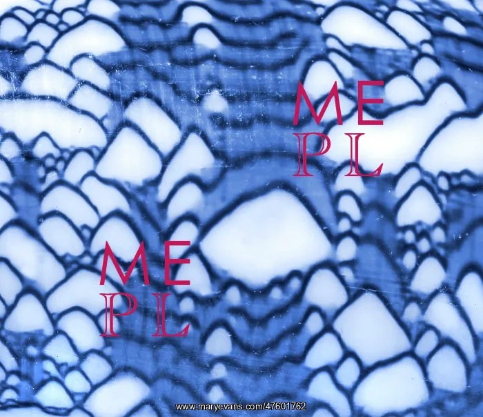  : Conus textile, textile cone