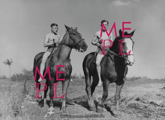 : Convalescent Company for Horses - Eastern Front, 1941 : Convalescent Company for Horses - Eastern Front, 1941