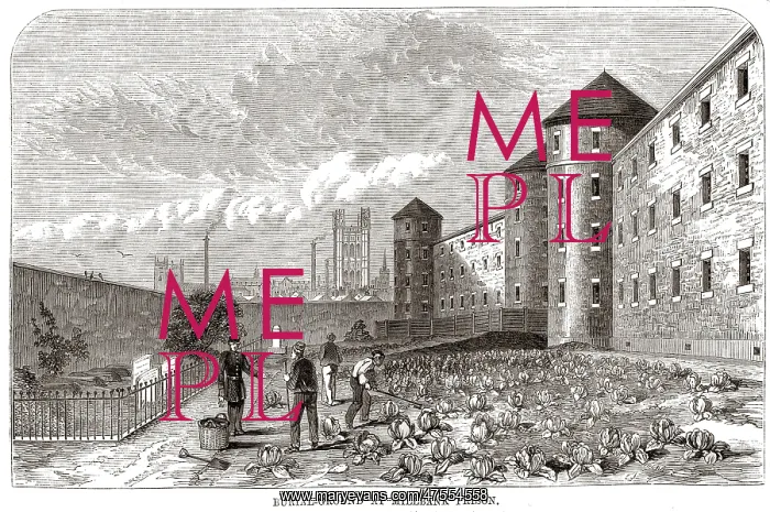  : Convicts burial ground, Millbank Prison