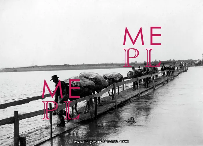 : A convoy on a floating bridge in Serbia, 1915 : A convoy on a floating bridge in Serbia, 1915