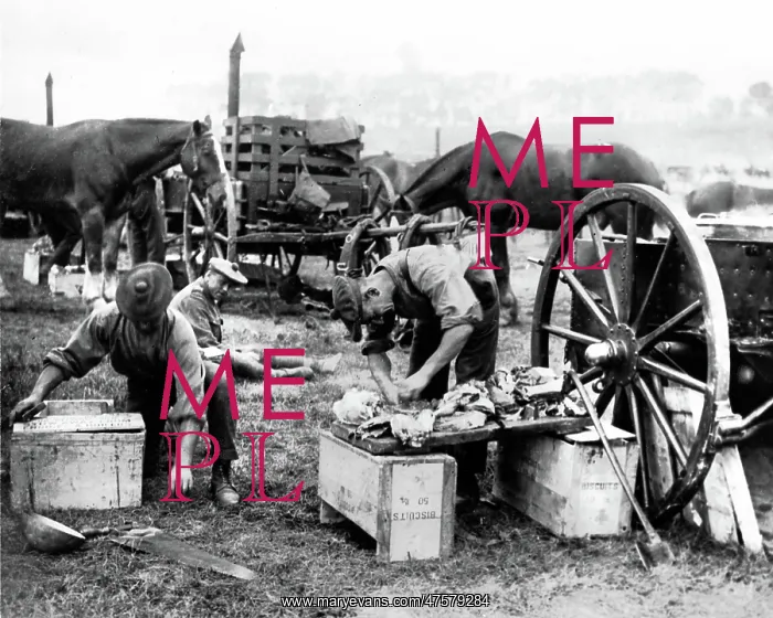 : Cook preparing food for British troops, Western Front, WW1 : Cook preparing food for British troops, Western Front, WW1