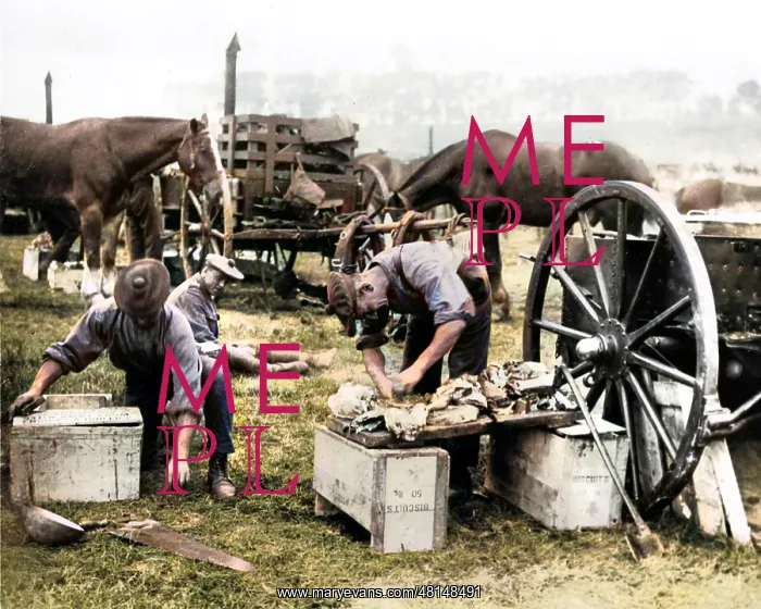 : Cook preparing food for British troops, Western Front, WW1 : Cook preparing food for British troops, Western Front, WW1