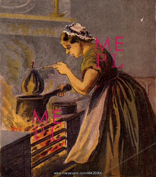 : Cook putting a suet pudding wrapped in a cloth : Cook putting a suet pudding wrapped in a cloth
