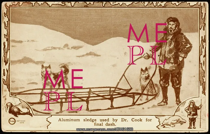 : COOK AND SLEDGE : COOK AND SLEDGE