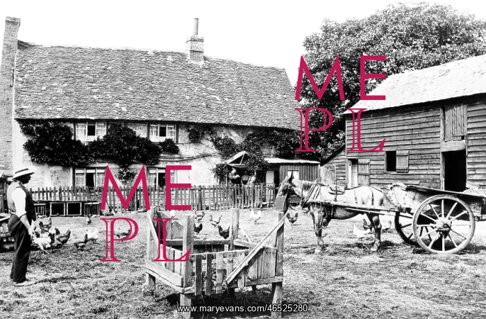  : Cookham, Ovey's Farm 1914