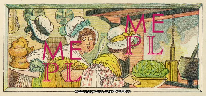 : COOKING THE CABBAGE : COOKING THE CABBAGE