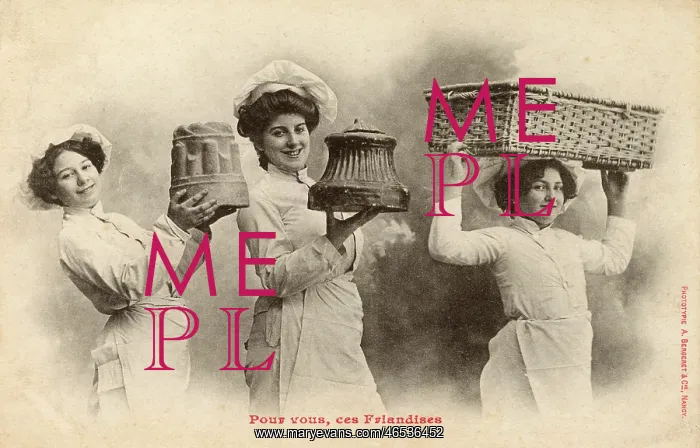 : Cooks presenting three delicacies : Cooks presenting three delicacies