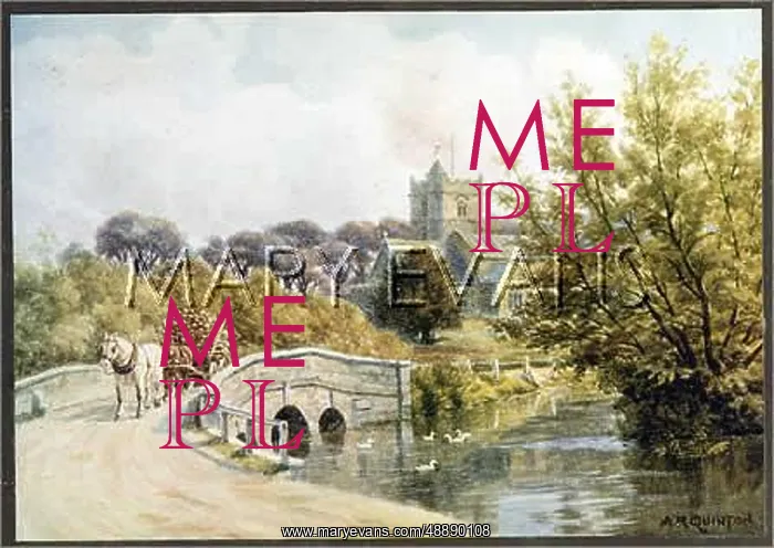 : COOMBE BISSETT / DORSET : COOMBE BISSETT / DORSET