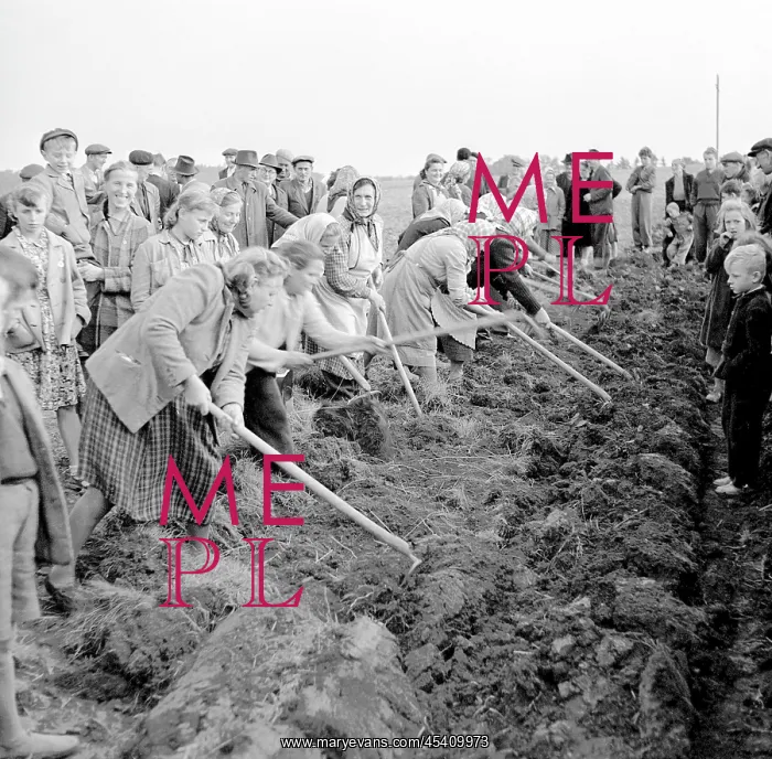: Cooperative : Cooperative