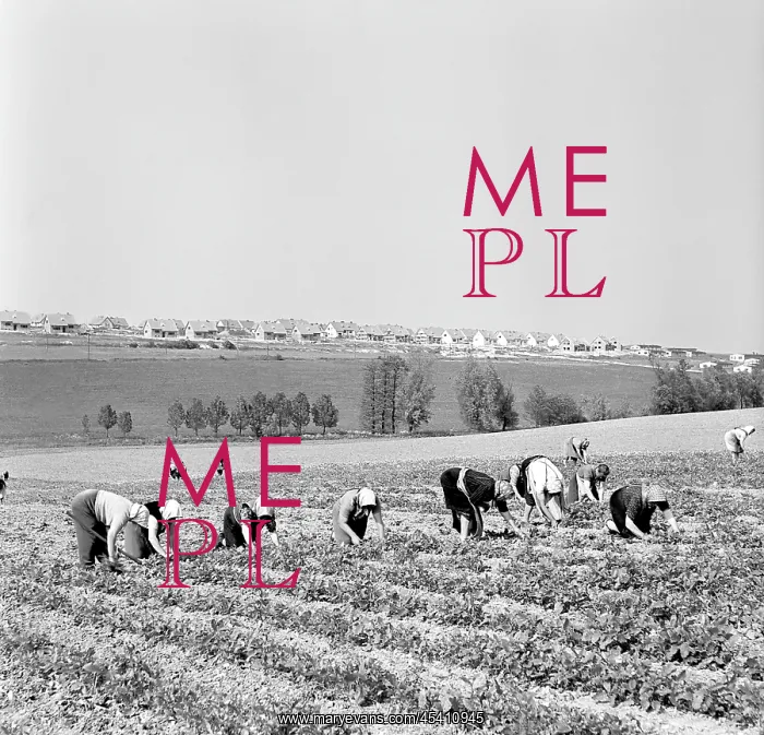 : Cooperative farmers : Cooperative farmers