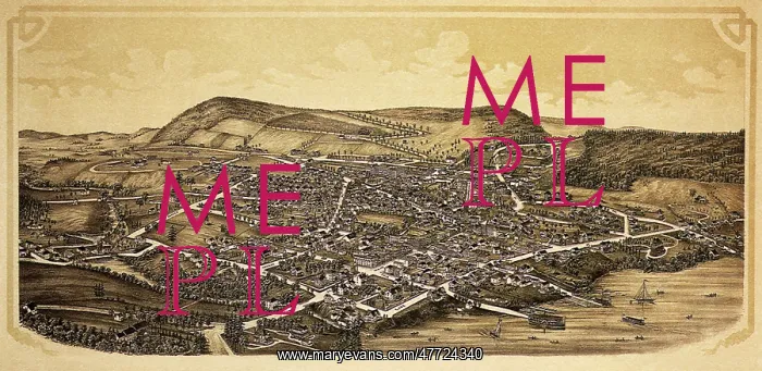 : Cooperstown 1890 : Cooperstown 1890