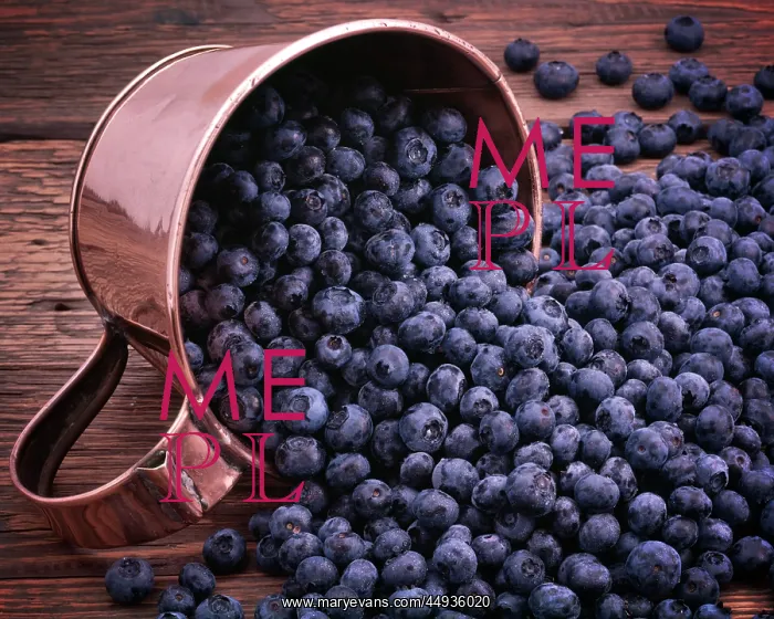 : Copper Cup Overflowing with Wild Blueberries : Copper Cup Overflowing with Wild Blueberries