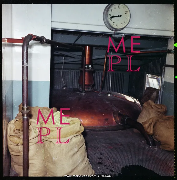 : A copper at McMullen's Hertford Brewery : A copper at McMullen's Hertford Brewery