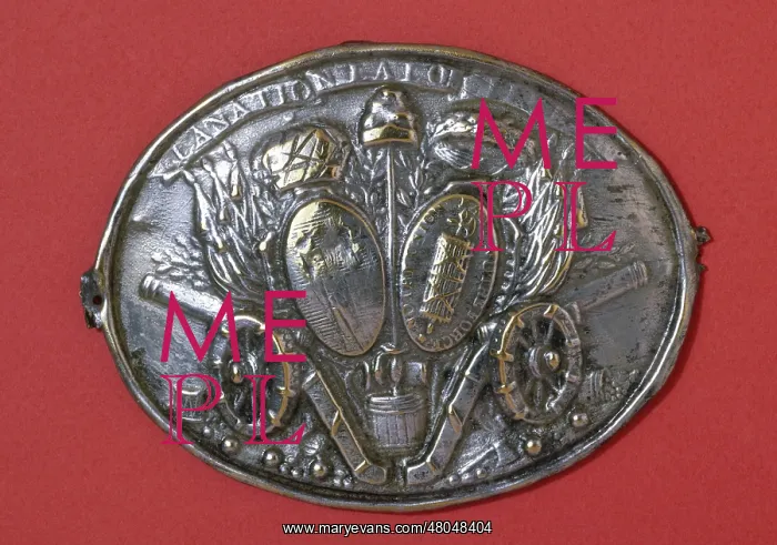 : Copper Plate: the Nation, the : Copper Plate: the Nation, the