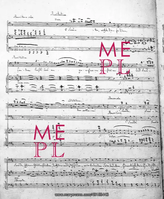 : Copy of a score form the 9th Symphony by Ludwig van Beethove : Copy of a score form the 9th Symphony by Ludwig van Beethove